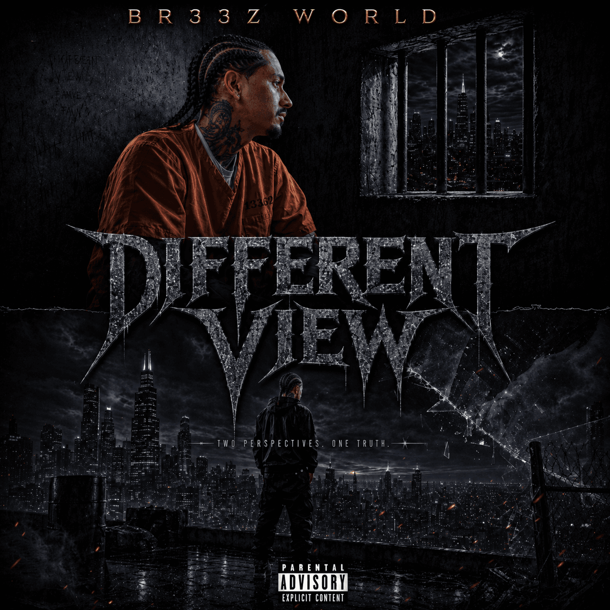DIFFERENT VIEW — cover art
